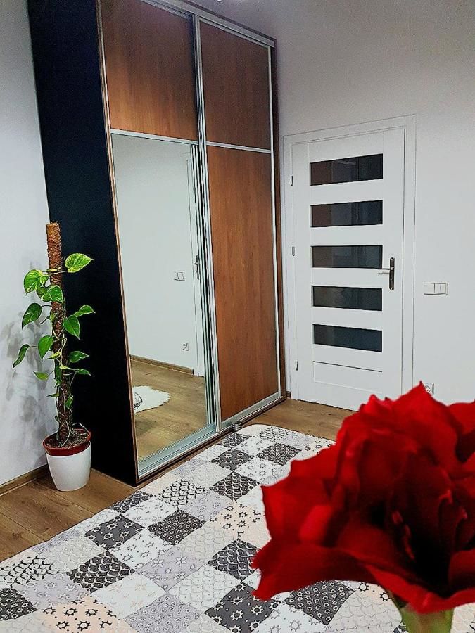 Апартаменты Nemuno Apartamentai Каунас-14